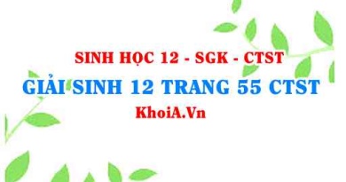 Giải Sinh 12 trang 55 Chân trời Sáng tạo